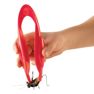 Easy Grip Tweezers - Set of 12 - Bug not included